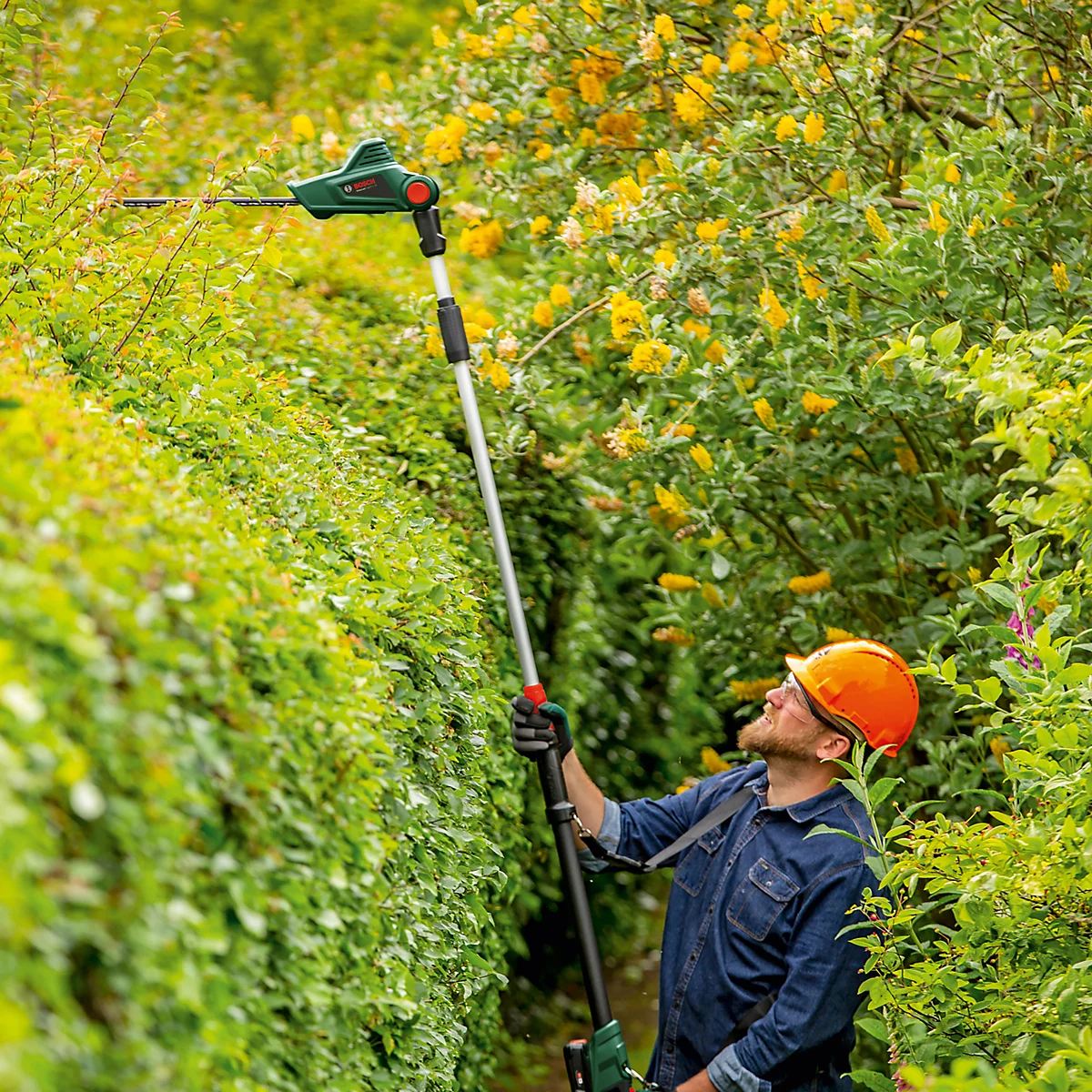 Hedge Trimmer
